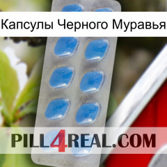 Капсулы Черного Муравья 22